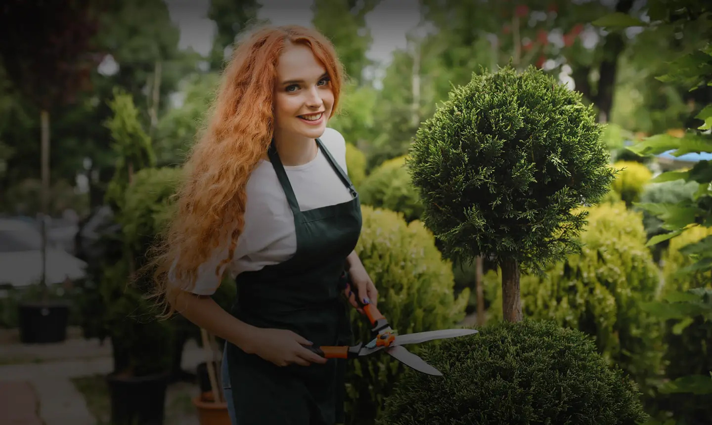 Enhance Your Garden with Professional Hedge Trimming in Bethnal Green