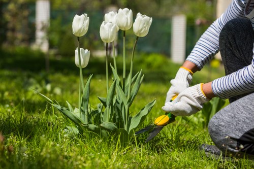 Professional hedge trimming service in Bethnal Green
