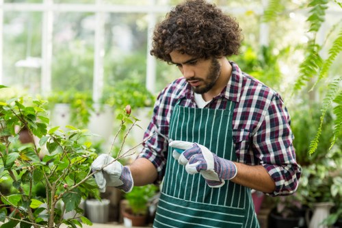 Professional garden clearance service in Bethnal Green