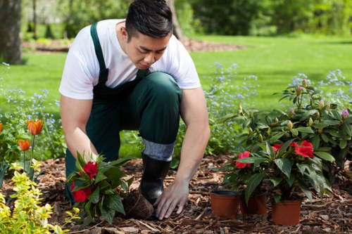 Workers sorting branches for chipping and compost at mid-process