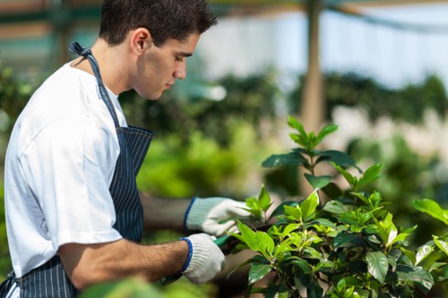 Eco-friendly hedge trimming practices in a lush garden