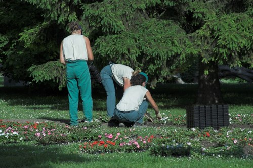 Pruning and trimming plants in an urban garden