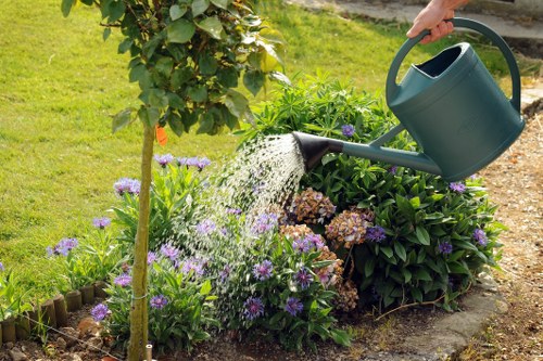 Various hedges maintained by professional trimmers