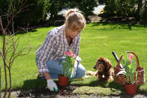 Supervisor inspecting hedgerow during a complaints investigation
