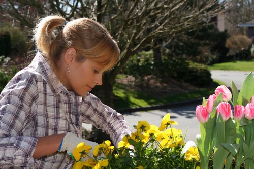 Choosing the right hedge trimming service in Bethnal Green